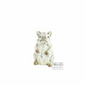 Varken Cato S crème sweet pig  6x6xH10cm