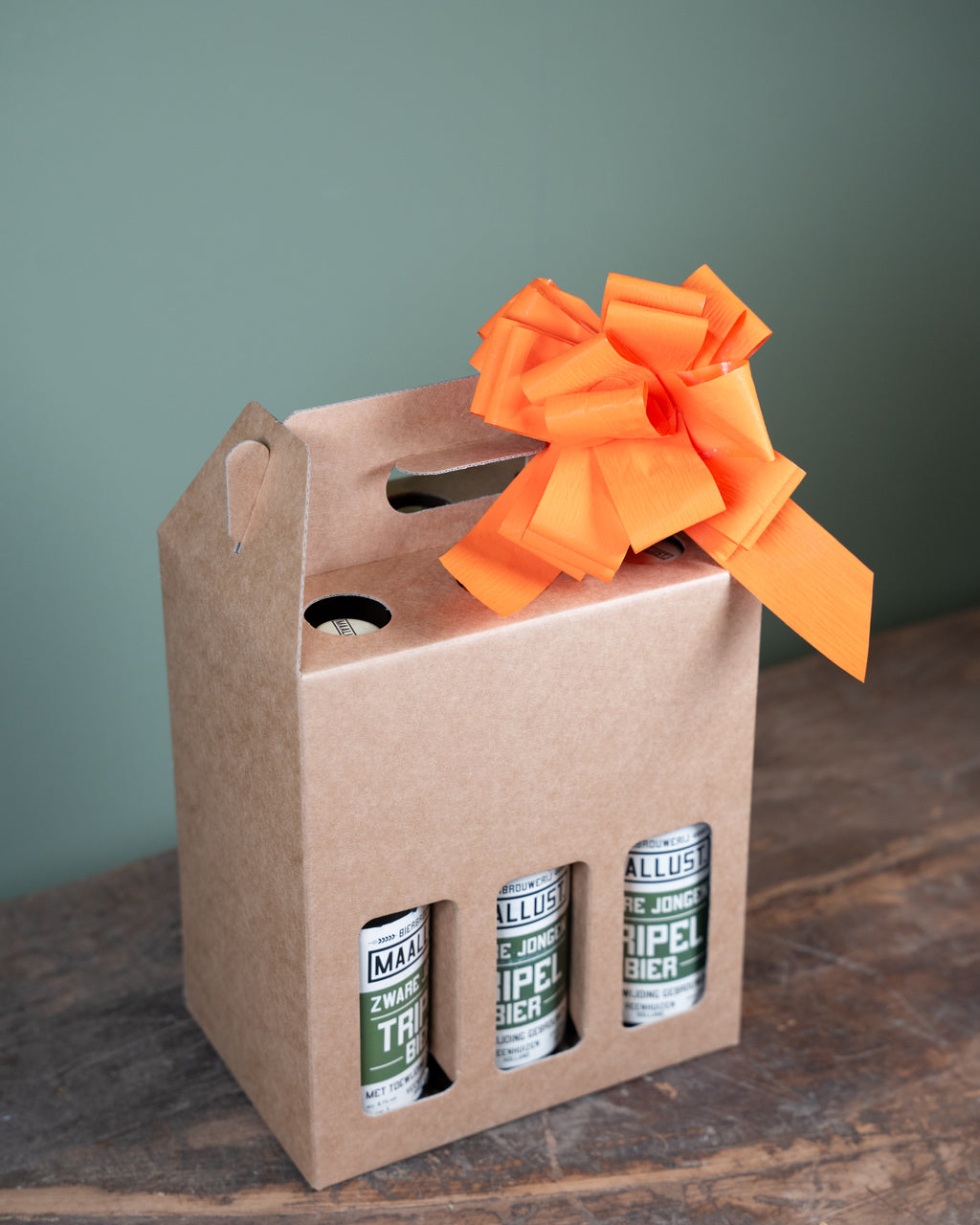 Bierverpakking voor 6 flessen, karton, gesloten draagdoos 19,5x13x29cm