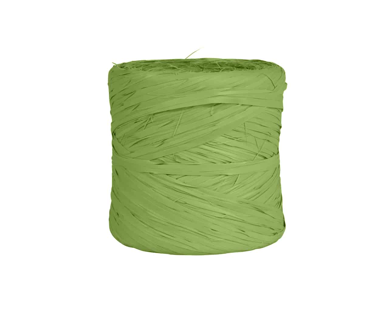 Raffia basic lint 200m | 03 muschi mos groen